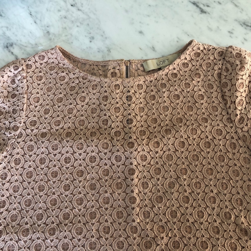 Ann Taylor Loft Lace Shortsleeve - Picture 1 of 3
